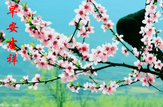 所谓爱,就是当感觉 热情和浪漫统统拿掉之后 你仍然珍惜对方