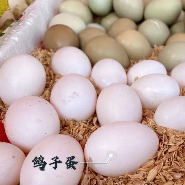 02 蛋宝宝的秘密 1 在开启寻蛋之旅后,孩子们找到了各种各样的蛋.