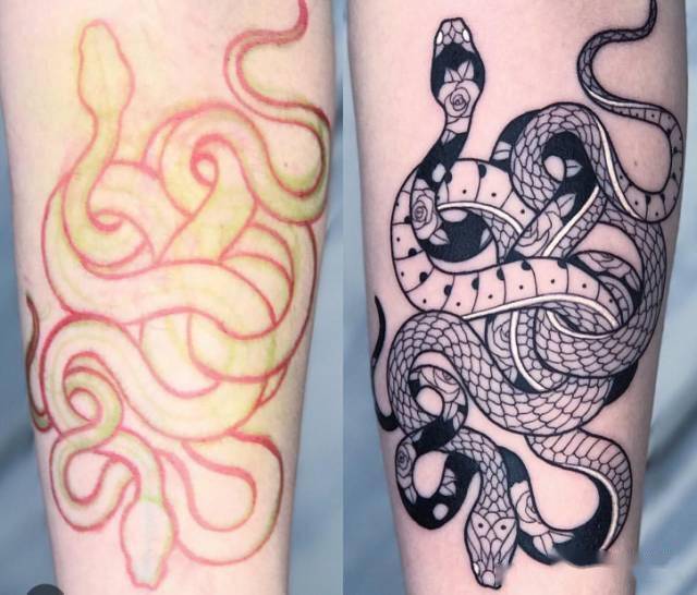 tattoo | 纹身素材:蛇