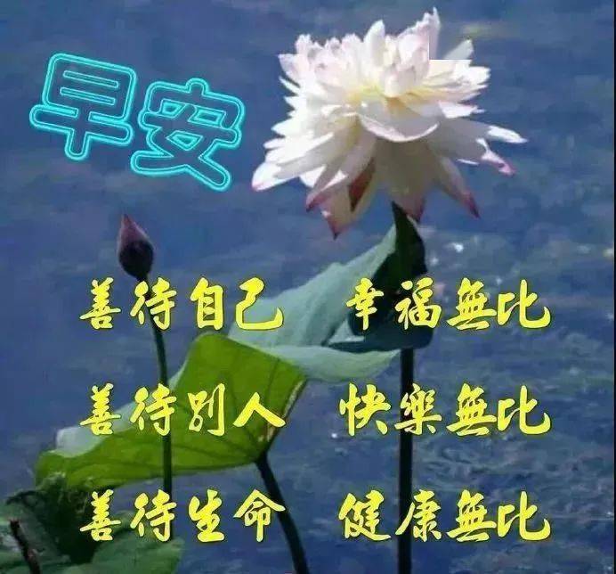 2021年友谊早安图片,早安图片2021新图片 8张非常有创意好看的友情早安问候图片带字推荐,2021免打字早上好图片