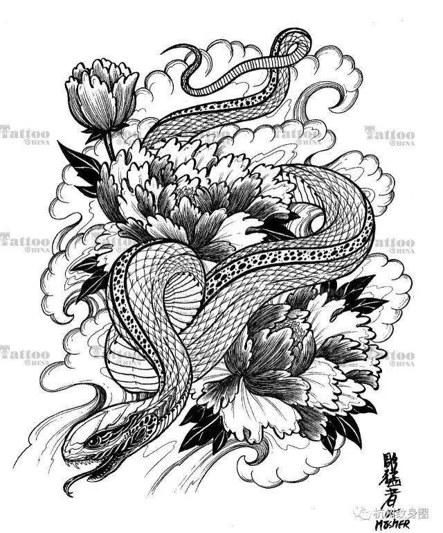 tattoo | 纹身素材:蛇