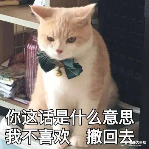 第68期喵表情 | "内有69只萌猫,谨慎进入!"_包字
