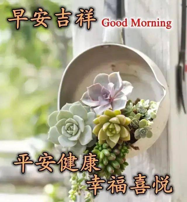 2021年1月5日早安图片,2021年1月6日早安图片 2021年1月29日周五清晨早上好问候祝福动态表情图片 2021最新早安问候