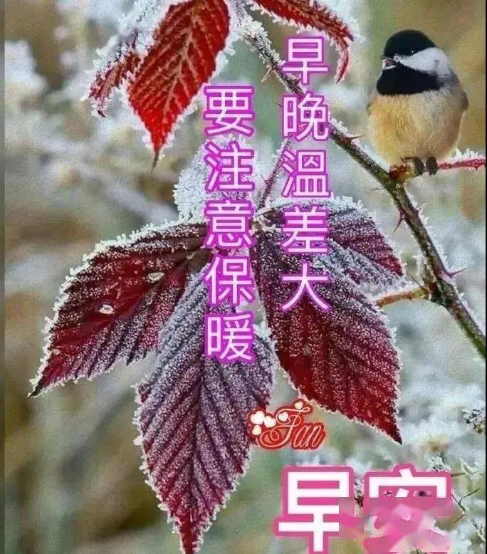 2021年友谊早安图片,早安图片2021新图片 8张非常有创意好看的友情早安问候图片带字推荐,2021免打字早上好图片