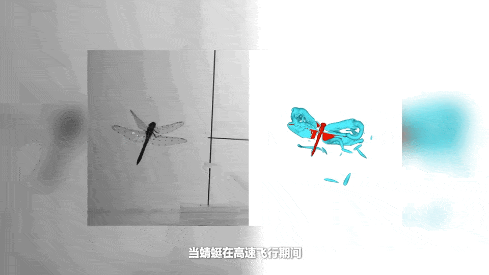 「dragonfly」之中早已藏在它首发配色的名字关于这双鞋所有的秘密