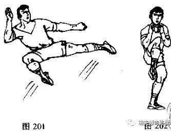 散打组合腿法:鞭腿,侧踹和踢腿图文教学