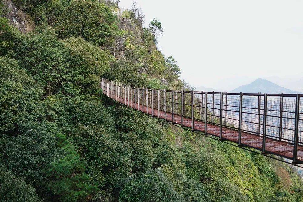 网红大咖走进章氏矿坑冰城旅游景区为你一探这个坑的深浅