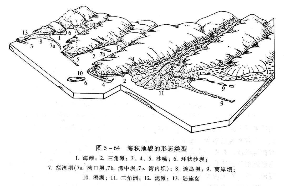 常考的海岸地貌有哪些?