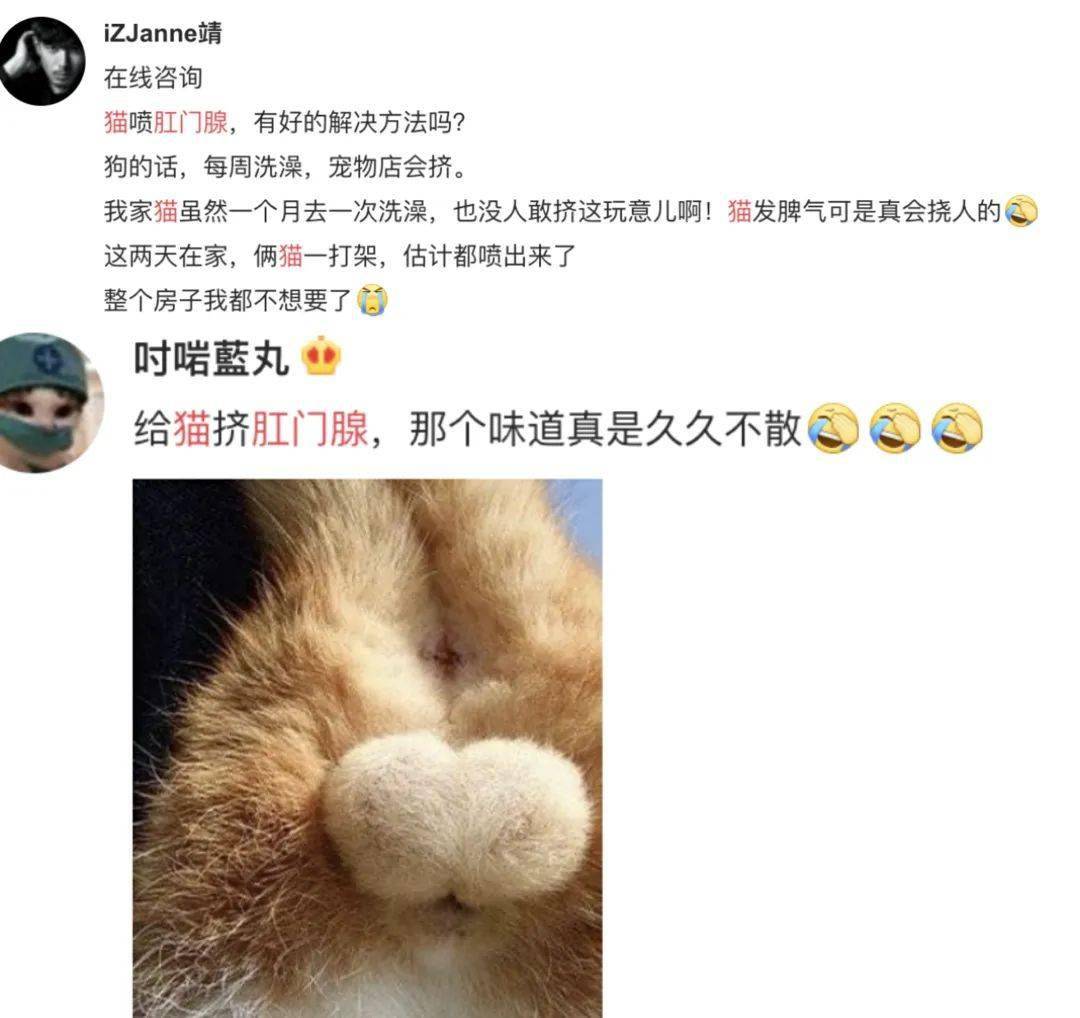 淦!给猫挤肛门腺喷到笔记本键盘上了!