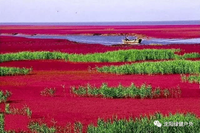 辽河三角洲湿地(辽宁)