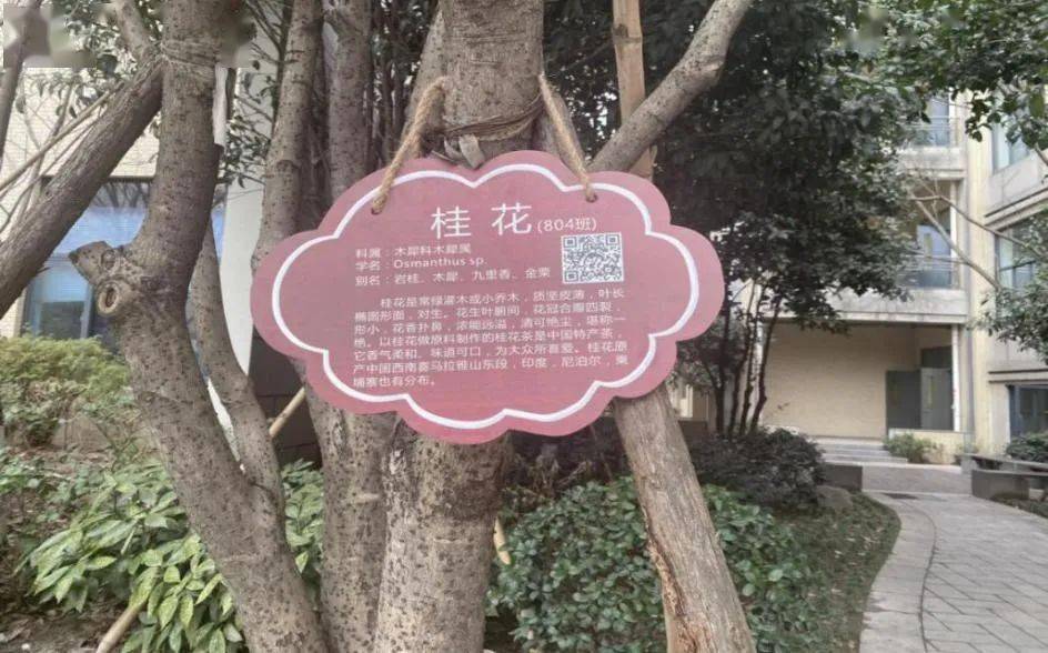 拥抱绿色爱满校园杭州师范大学东城中学校园树木认领活动