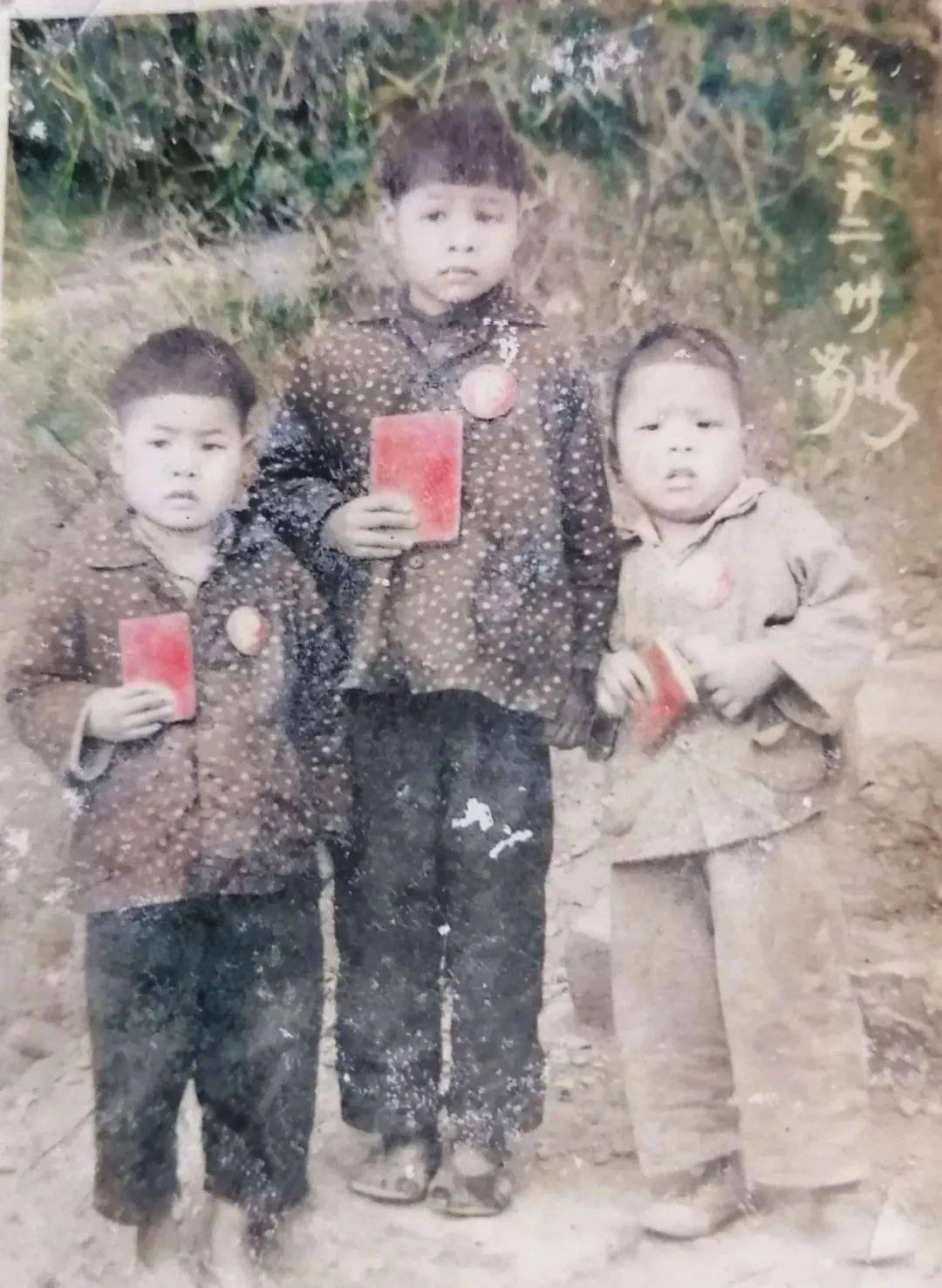 (网络截图)1952年12月,部队接到返回大陆参加社会主义建设的命令,又一