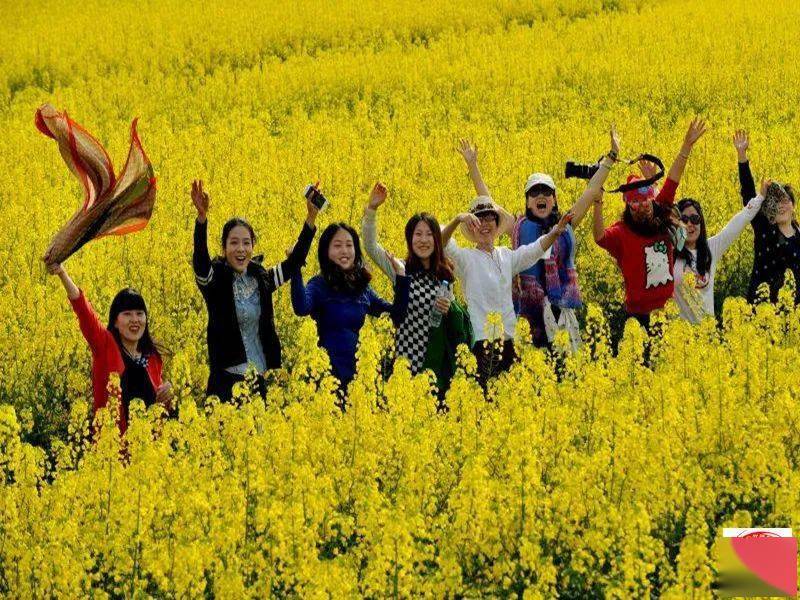 【独家原创】2021追风行者自驾中国最美油菜花海-汉中