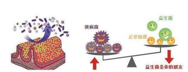 这四个时间点喝益生菌,效果翻倍!