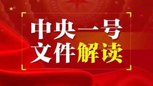 2021年中央一号文件要点解读(一)