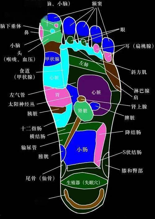 气血疏通足底循环疗法,给体内病气开个口子,让它们跑出去