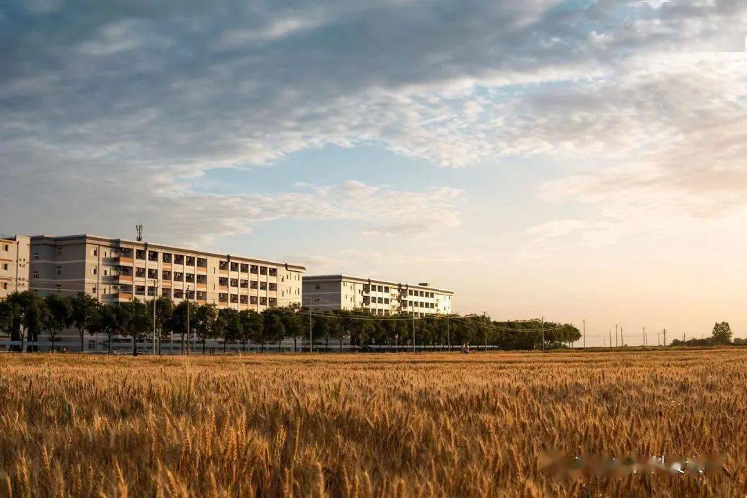 西北农林科技大学2021年度博士后创新人才支持计划申报工作启动