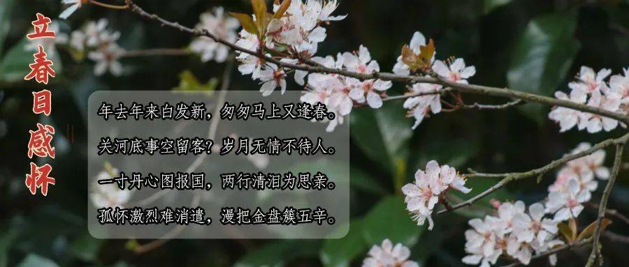 湖师廿四节气 | 今日立春,师院儿们这样过!
