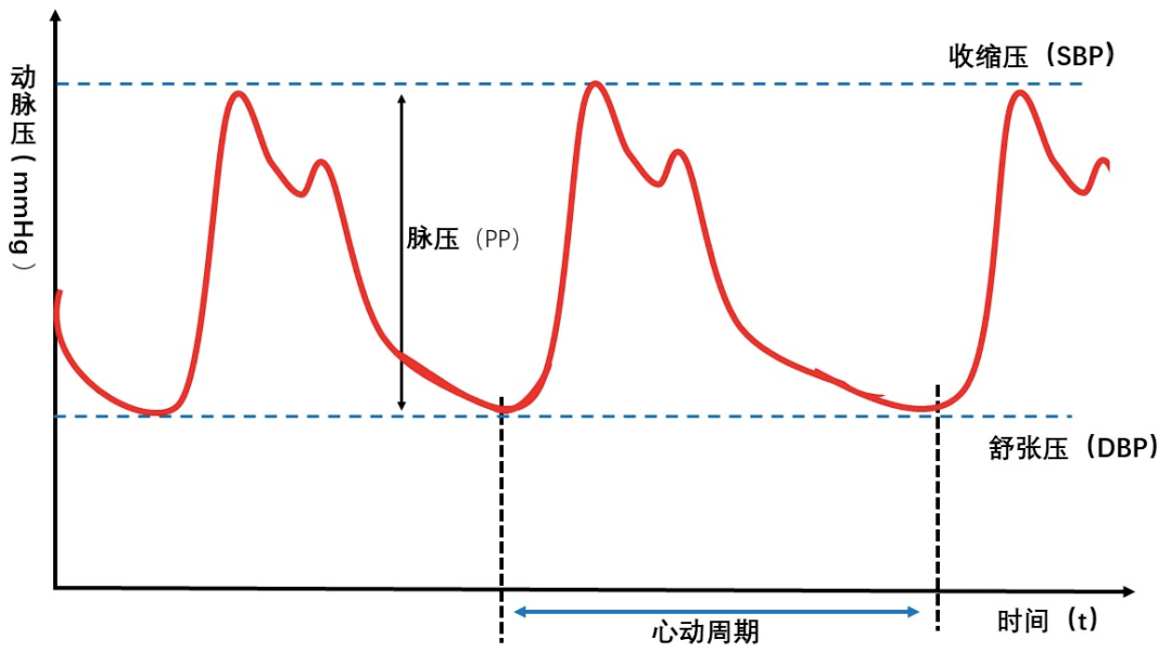 原来这些营养素跟血压的升高降低都有关系