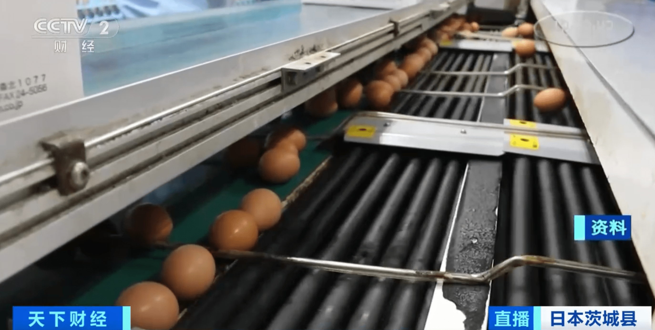日本最大鸡蛋产地检测出高致病性禽流感病毒！84万只鸡将被扑杀