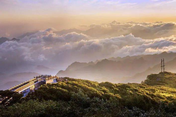 金佛山景区简介自驾自由行随时出发 提前一天预定世遗净土