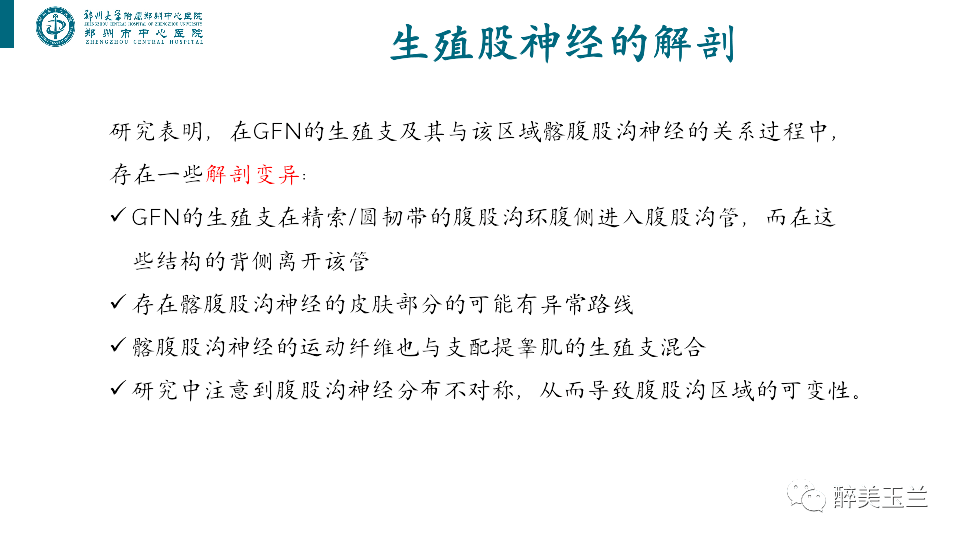 文献学习 生殖股神经痛