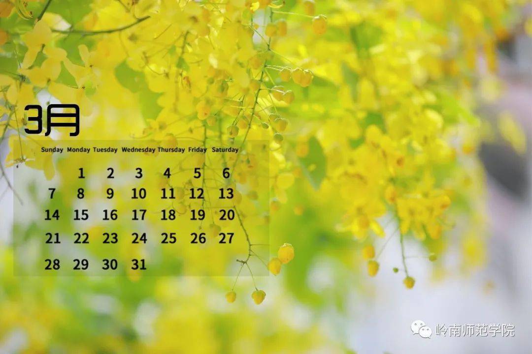 又是一年立春到,岭师版日历独家放送!_校园