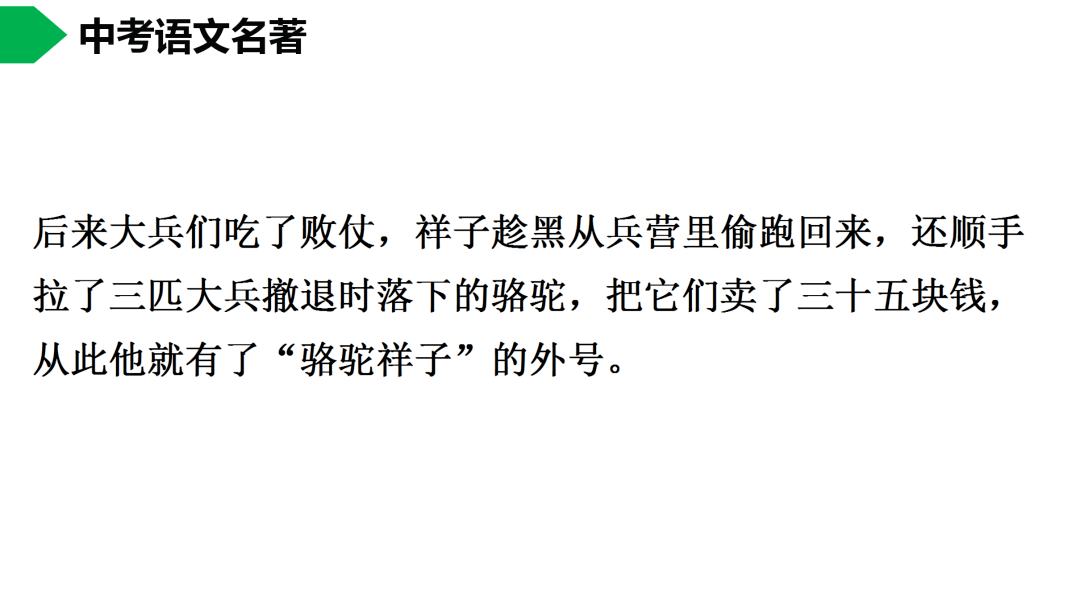 初中语文七下《骆驼祥子》名著导读 思维导图  考点,!