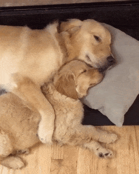 280_350 竖版 竖屏