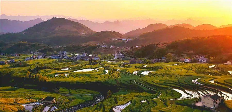 【陕南春摄】4月汉中油菜花,凤堰古梯田,洋县朱鹮,红腹锦鸡生态风光
