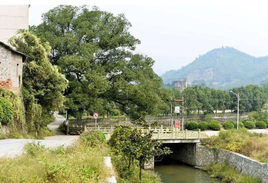 微村志瑶琳镇高翔村