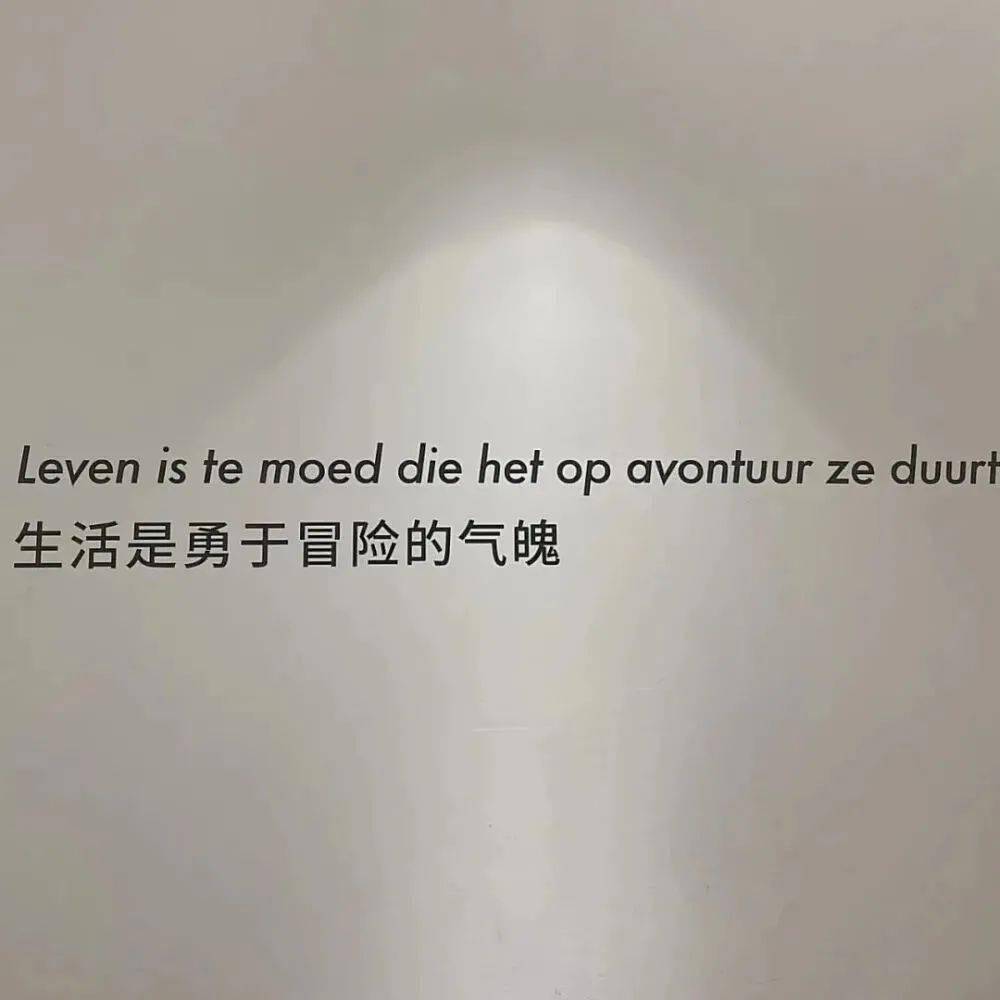背景图 丨热爱生活 开心有趣 努力善良