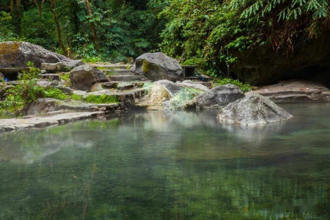 阴阳谷温泉位于高黎贡山百花岭腹地,泡池边就是原始森林,负离子丰富