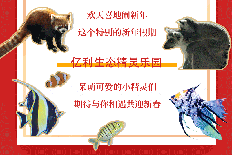 120多种不同种类的海洋生物,将给孩子们打造独特的海底萌宠世界