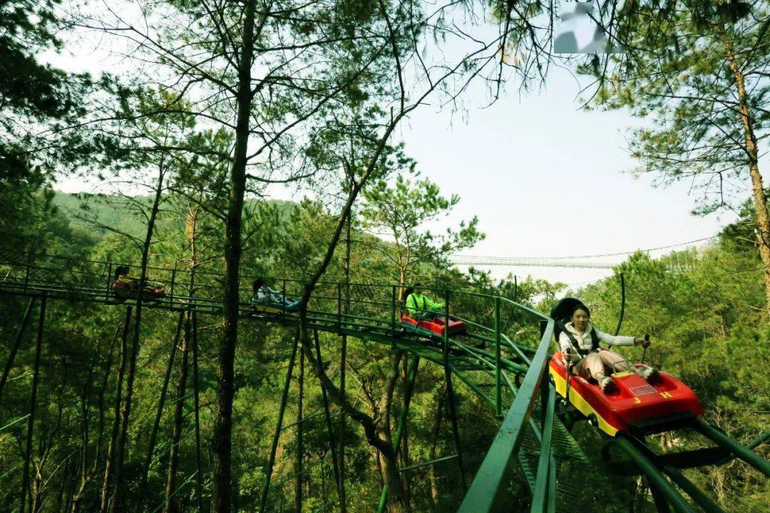 春节走起来五星级旅游景区门票竟然低至这个价还有刺激的丛林飞车
