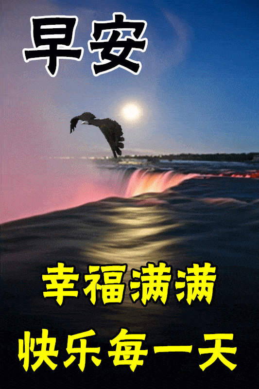 2月6日最漂亮早上好动态表情图片大全,早晨好动图美图