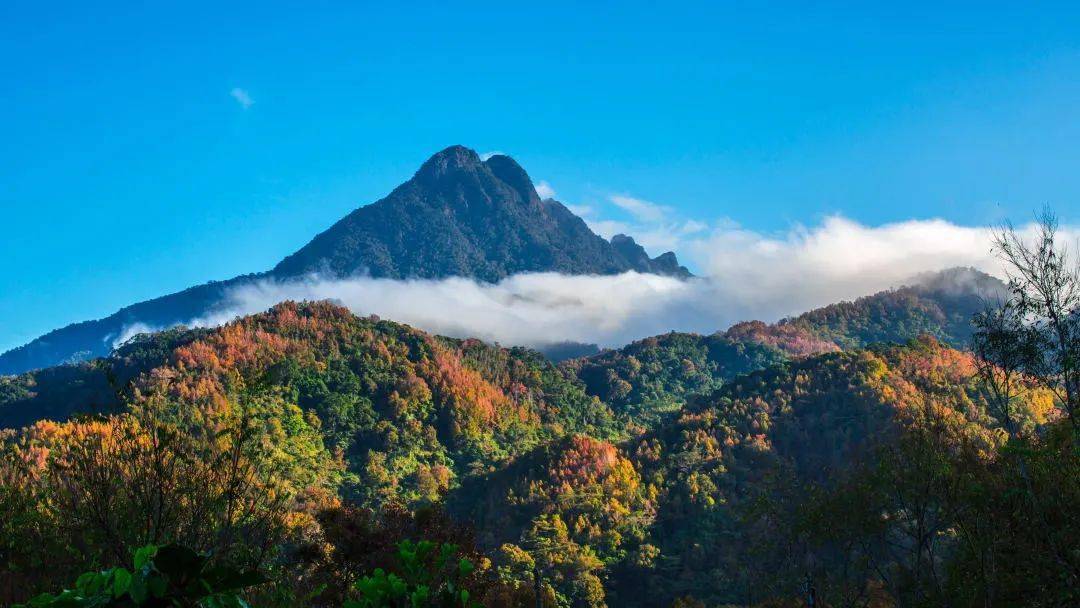 五指山自然保护区—水满河热带雨林风景区路线二 不登五指山,不算到