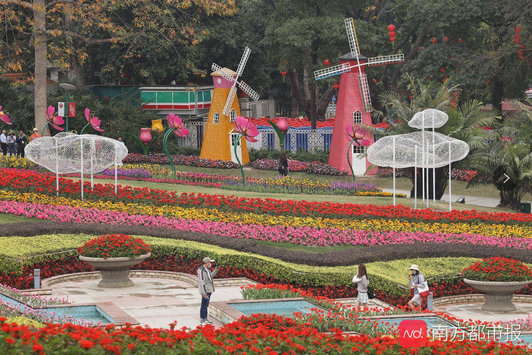 广州云台花园七彩花开迎新春10万株郁金香花展抢先看