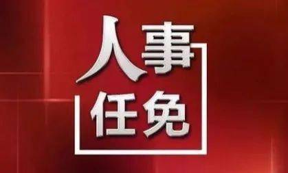 最新人事任免涉及河南科技大学洛阳理工学院