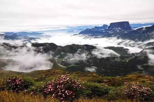 它绝美!高山深切峡谷里,私藏了许多美景!