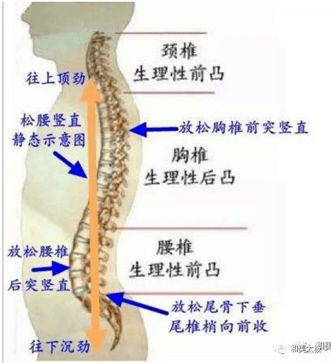 坐.尿"详解