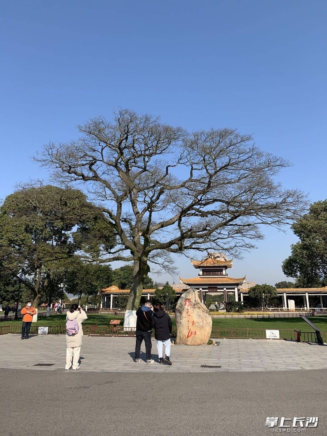 橘子洲头仰天长问巨变作答