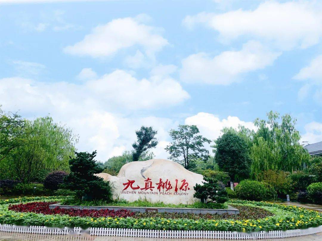 号外!九真桃源景区惠民政策再次来袭
