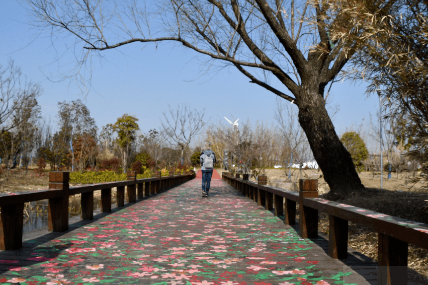 留"沪"过年,来崇明这个3a景区get新玩法!_海棠