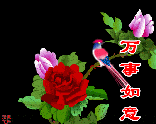 送你99只报喜鸟 愿你2021年 到处鸟语花香 到处莺歌燕舞 朋友,在今天