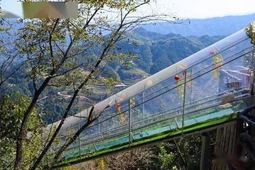 春节来这!神农山门票 往返索道 玻璃桥 挑战桥等十大游玩项目随心玩!