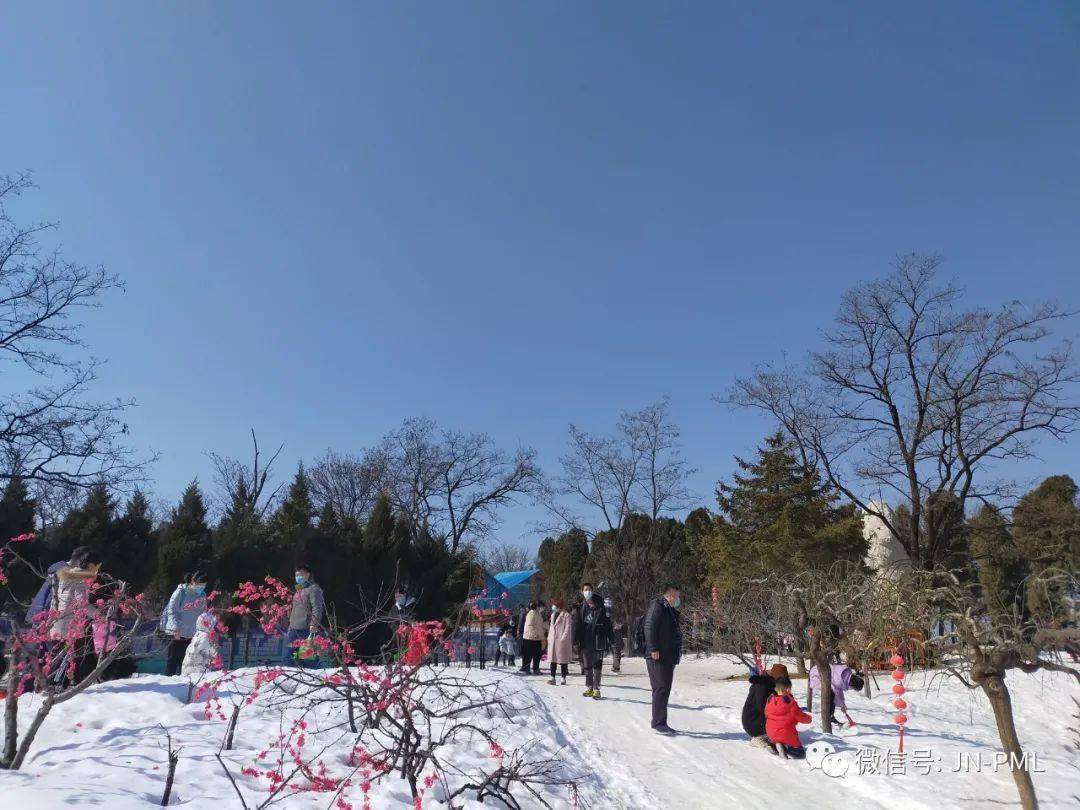 跑马岭·齐鲁雪乡引爆新年第一天