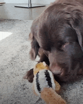 280_350 竖版 竖屏