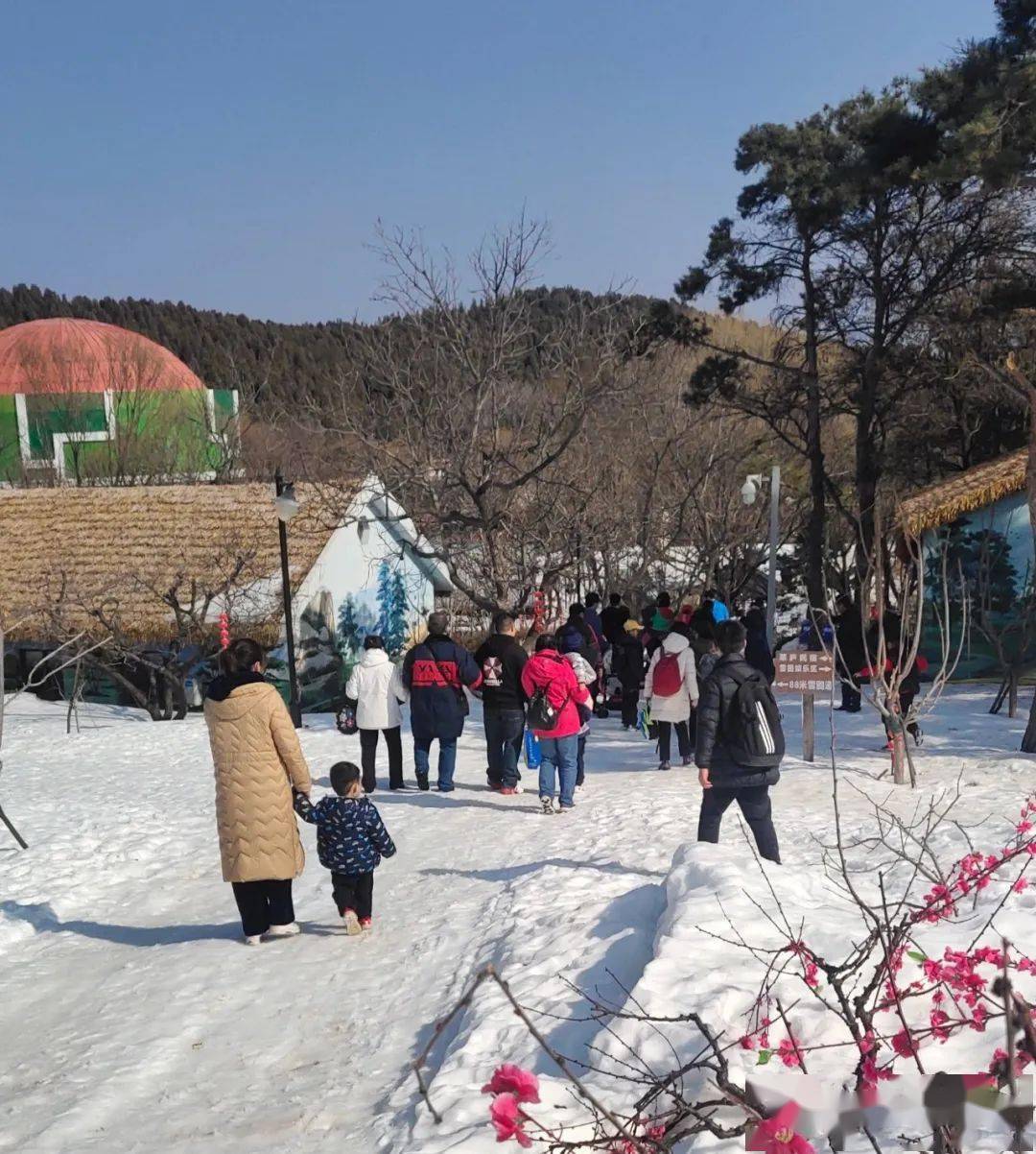 跑马岭·齐鲁雪乡引爆新年第一天