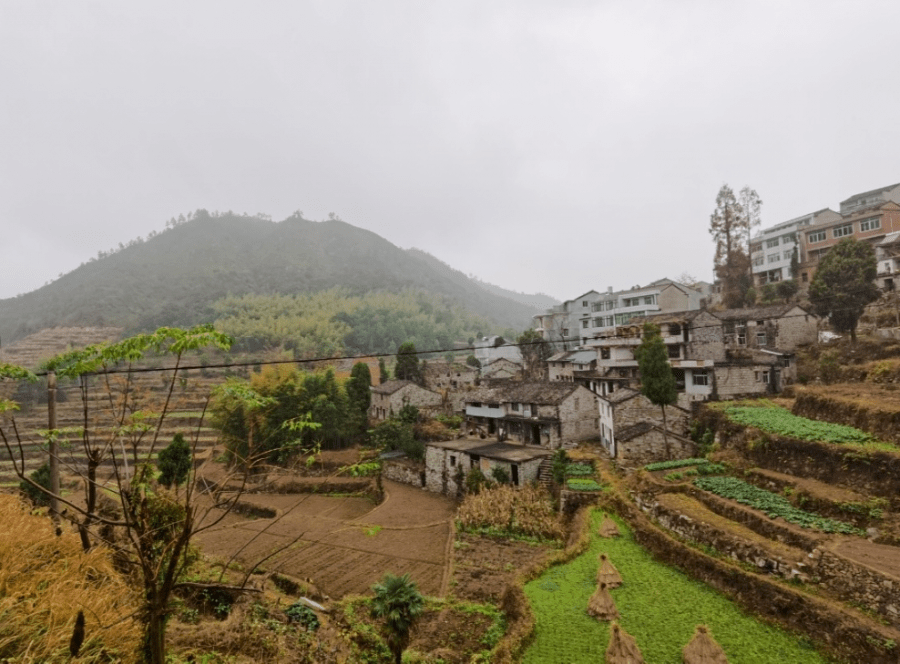 河头镇宜塘一村,宜塘二村 河头镇宜塘山区醉美曙光片区(市区至括